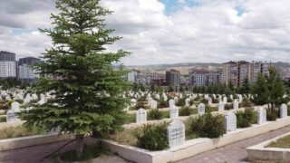 İstanbul Belediyesinde 69 bin TL, Sivas Belediyesinde bedava