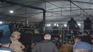 İzmirde horoz dövüşü yaptıranlara jandarmadan operasyon