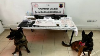 Jandarmadan Çobanlar Çetesi operasyonu: 6 gözaltı