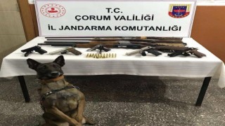 Çorum'da Jandarmadan ruhsatsız silah operasyonu