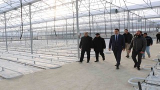Jeotermal ısıtmalı topraksız serada üretim Şubatta başlayacak