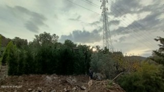 Kaçak inşaatı, dallarla gizlemeye çalıştılar
