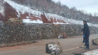 Karayoluna düşen kaya parçaları trafiği aksattı