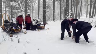 Karsta jandarma yaban hayvanlarına yiyecek bıraktı
