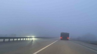 Kastamonuda yoğun sis etkili oluyor