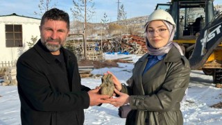 Kazı çalışmasında çıkan göktaşı olabileceği düşünülen kalp şeklindeki taş merak uyandırdı