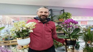 Kışın çiçek bakımında bunlara dikkat edin