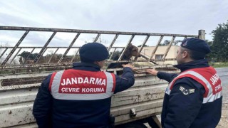 Köpek hırsızı jandarma ekiplerince yakalandı
