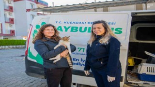 Kuşadası Belediyesinin Haybulansı 78 bin hayvana müdahale etti