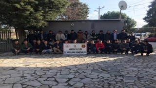 Manisada kaçak çalıştırılan 34 göçmen yakalandı