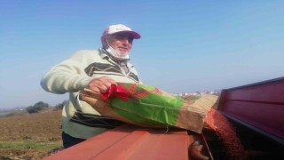 Manyaslı çiftçiler tohumları toprakla buluşturdu