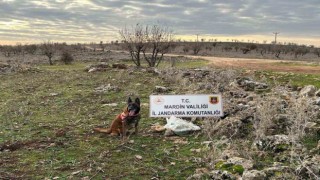 Mardinde yola tuzaklanan EYP imha edildi