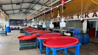Marmarada hava bozdu, balık fiyatları fırladı
