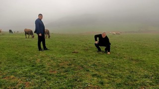 Mera Islahıyla Verimin Arttırılması Hedefleniyor