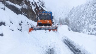 Meteorolojiden Siirt ve Şırnak için karla karışık yağmur uyarısı