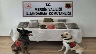 Mikrodalgadan bile uyuşturucu çıktı, 2 şüpheli tutuklandı