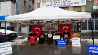 Muşlu annelerin evlat nöbeti devam ediyor