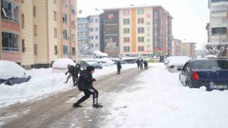 Muşta kar yağışı hayatı olumsuz etkiledi