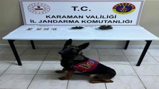 Narkotik köpeği ile arama yapılan araçta uyuşturucu ele geçirildi