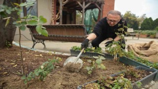 Nilüferde ağaç dallarından gübre elde ediliyor