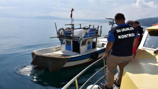 Orduda 2023 yılında balıkçılara yönelik bin 233 denetim gerçekleştirildi