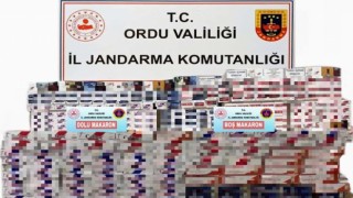 Orduda kaçak tütün mamulleri operasyonu