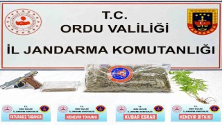 Orduda uyuşturucu operasyonu: 1 gözaltı