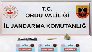 Orduda uyuşturucu operasyonu: 1 tutuklama