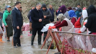 Osmaniye Valisi ve İl Tarım Müdürü, Tarım İşletmelerini Ziyaret Etti