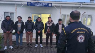 Osmaniyede 6 kaçak göçmen yakalandı, 1 organizatör tutuklandı