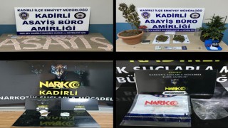 Osmaniye'de asayiş operasyonu: 10 kişi tutuklandı