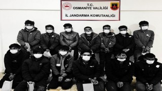 Osmaniye'de Göçmen Kaçakçılığı Operasyonu