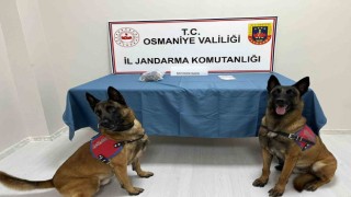 Osmaniyede jandarmadan uyuşturucu operasyonu
