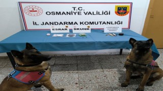 Osmaniye'de uyuşturucu ve kaçakçılık operasyonları