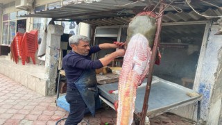 Osmaniyeli balıkçıya 37 bin TLlik yayın balığı piyangosu