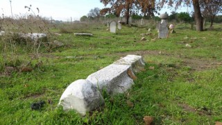 (Özel) Çanakkalede tarihi mezarlık harabeye döndü