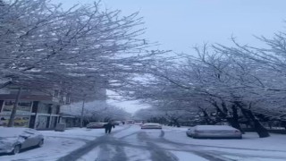 Patnosta köy yolları ulaşıma kapandı