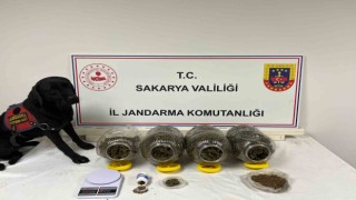 Sakaryada jandarma suça geçit vermiyor: 6 tutuklama