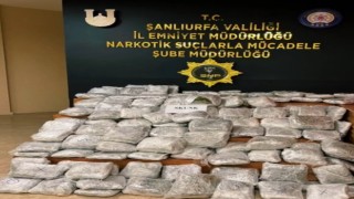 Şanlıurfada 85 kilogram skunk ele geçirildi