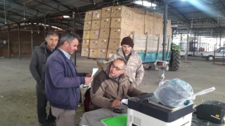 Sarıgölde tütün alımlarına başlandı