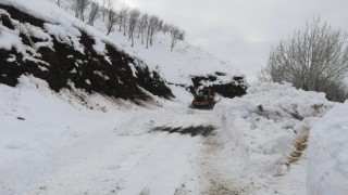 Sasonda kar kaplı yollar 3 gün sonra ulaşıma açıldı