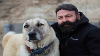 Sınır ötesi güvenliği için kangal tavsiyesi