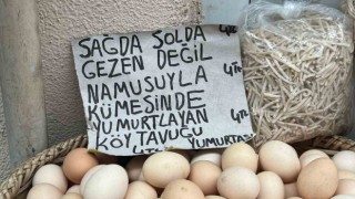Sinoplu manavdan yumurta esprisi