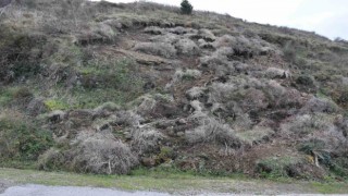 Sinopta korkutan heyelan