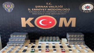 Şırnakta asayiş ve kaçakçılık operasyonu: 49 gözaltı