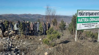 Soğuk havaya aldırmayan Tokatlılar fidan dikmek için birbirleriyle yarıştı