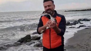 Talihsiz karabatak köpekten kaçtı, balıkçı ağlarından kaçamadı