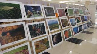 Tarım, orman ve insanı anlatan fotoğraflar Uşaklılarla buluştu