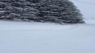 Telesiyej ile çıkarken dengesini kaybetti, sürünerek zirveye çıktı