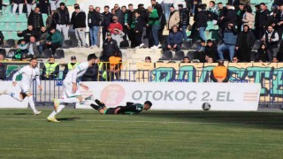 TFF 2. Lig: Denizlispor: 1 - Amedspor: 1